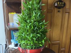 -静沐人生养生馆(佳宁娜分店)