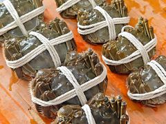 -阳澄湖大闸蟹·琼灵阁牌品牌连锁(吴中总店)