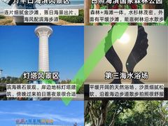 -日照海滨国家森林公园