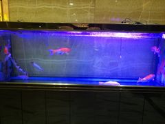 -雅致丽泊洗浴·颜系轻色SPA·足道(未央店)