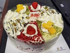 -维尔纳斯·生日蛋糕·动物奶油冰淇淋蛋糕(六里桥店)