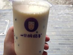 -一只酸奶牛(奎星楼店)