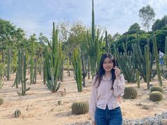 -东莞植物园