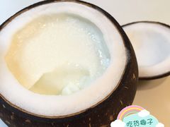 -志龙皇冠吃货椰子铺