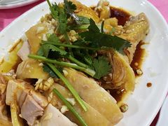 白切鸡-电白鸭粥店(下沙二坊88号店)