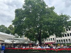 -Café Reichard