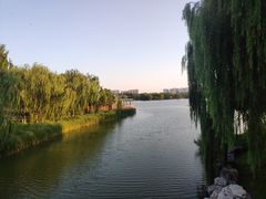 -大兴滨河森林公园