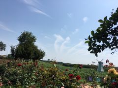 -武汉紫薇都市田园