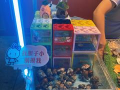 -大学城夜市