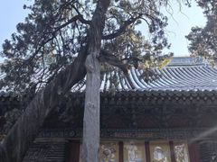 -关林