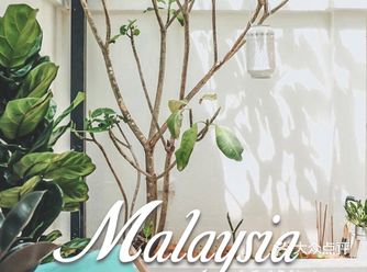 咖啡日记丨雪蘭莪PJ探店