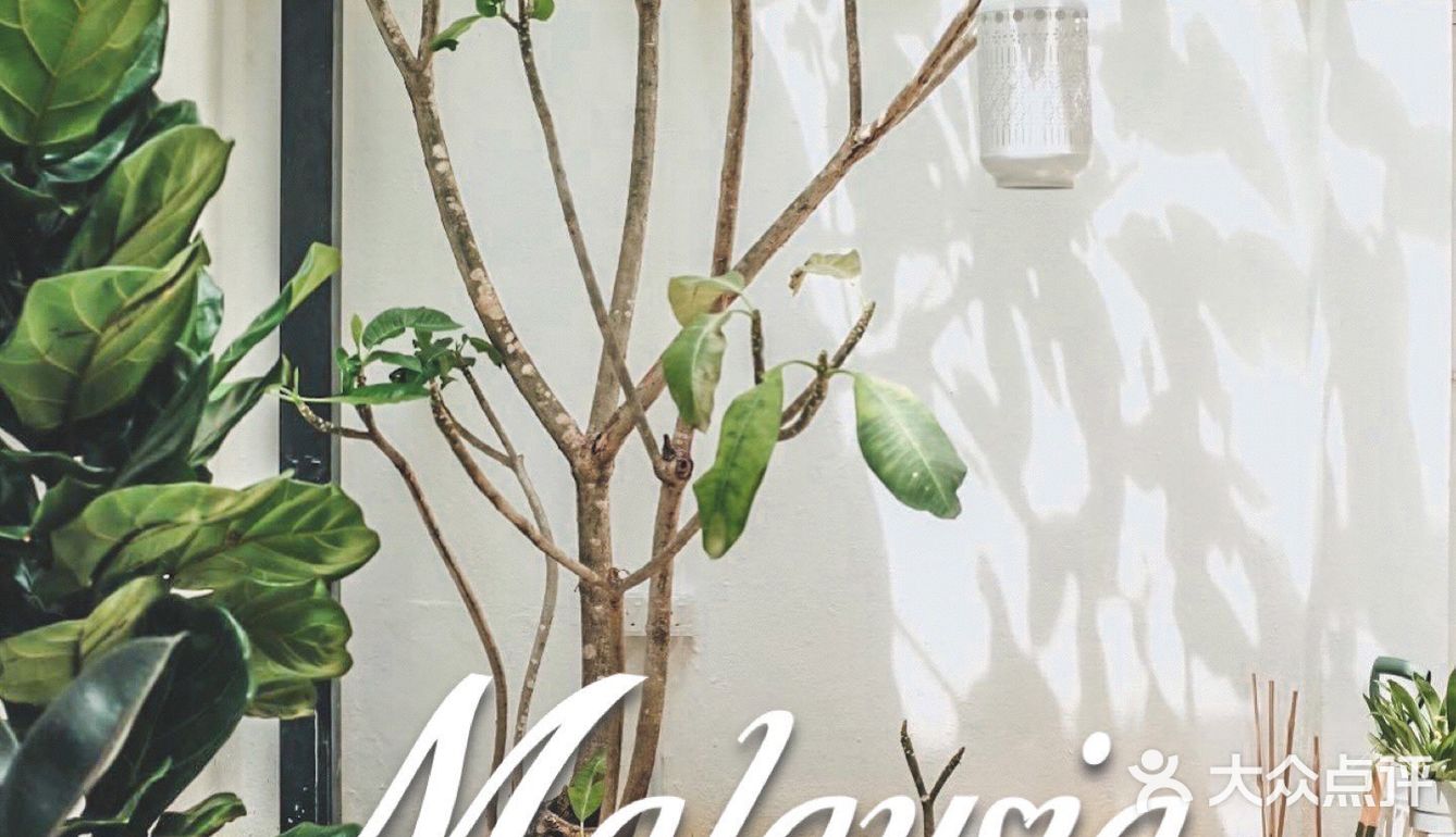 咖啡日记丨雪蘭莪PJ探店