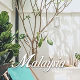 咖啡日记丨雪蘭莪PJ探店