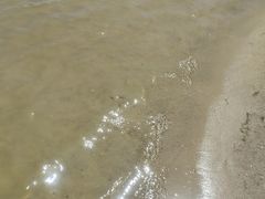 -碧海金沙