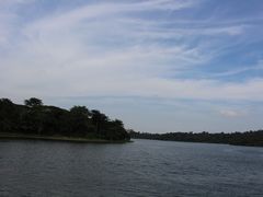 iphone_upload_pic-河川生态园