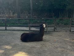 -昆明动物园