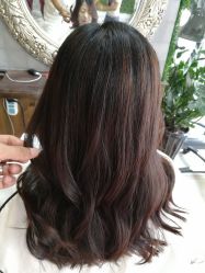 -红人馆造型十添