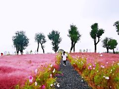 -汉长安城未央宫国家考古遗址公园