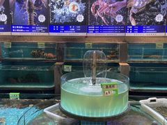 -梦都海鲜酒家(万达广场江桥店)