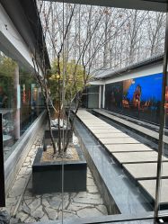 -爱儿美儿童摄影(朝阳公园店)