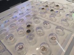 -miomi米欧米美瞳隐形眼镜(新世界大丸百货店)