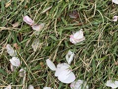 -西北湖绿化广场