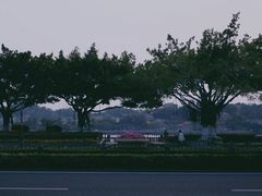 -中山路步行街
