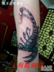 -龙刺堂纹身