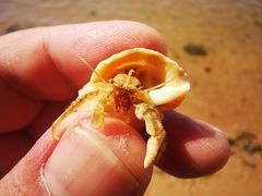 -东戴河风景区-止锚湾