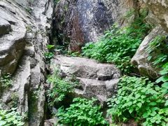 -王顺山国家森林公园