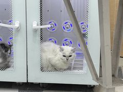 -总动员动物医院(宝丰院店)