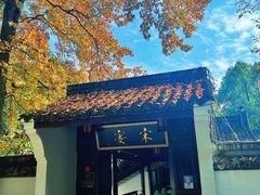 -宋宴(虎跑店)