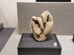 -四川大学博物馆