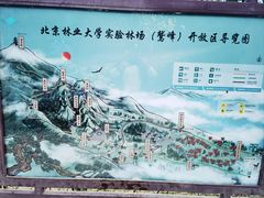 -北京鹫峰国家森林公园
