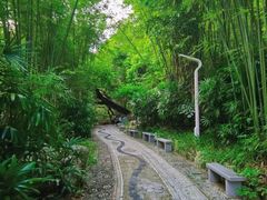 -人民公园(罗湖区)