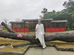 -融水老君洞景区