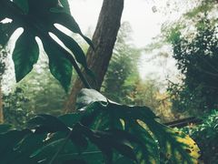 -天目湖涵田半山温泉