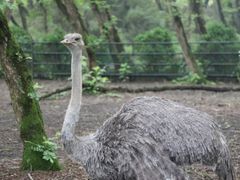 -金孔雀温泉旅游度假村