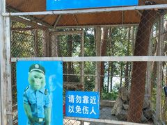 -千岛湖东南湖区