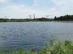 -上海滴水湖皇冠假日酒店