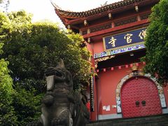 -铁山坪森林公园