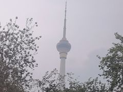 -中央广播电视塔