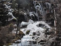 -九寨沟-树正沟