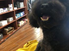 -瑞派动物医院·绝育·犬猫全科·预防医学(光景江南中店)