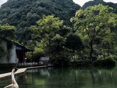 -靖西鹅泉风景区