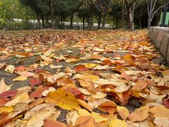 -苏州河梦清园环保主题公园