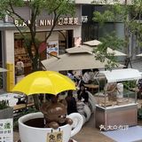 怎么办！没忍住……又提一大袋回家！ 