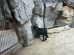 -南昌动物园