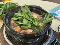 -一煲鸽