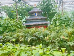 -南宫五洲植物乐园